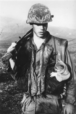 Ghostribbons:  A Soldier Of The U.s. Seventh Marines Carries A Puppy In His Pocket