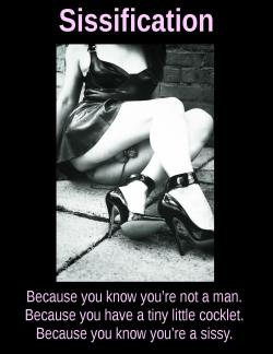 cuckhusb:  Courtesy of House Slave Sissy via www.cuckoldplace.com. 