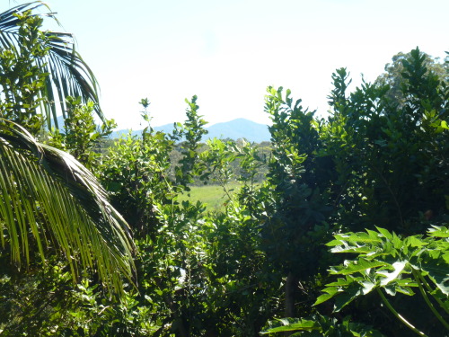 oceaniatropics:  Bellingen, Promised Lands, NSW, Australia