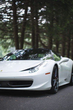 Premium Elegance.