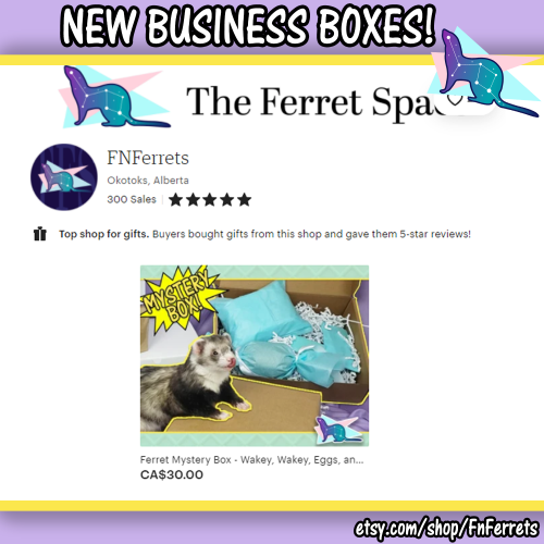 This month’s FERRET MYSTERY BOXES are up on my etsy!Business Boxes are the best way to keep some exc