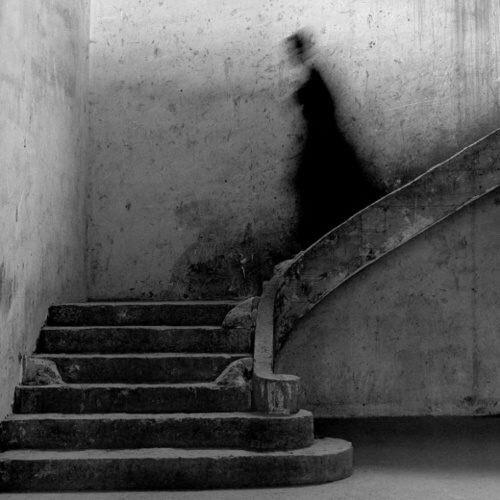 filoflife:  #Shadow 