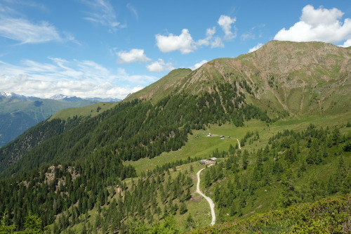 A walk in the hills. Sarntaler Alpen, 2020. 