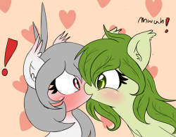 askflowertheplantponi:They’re still there