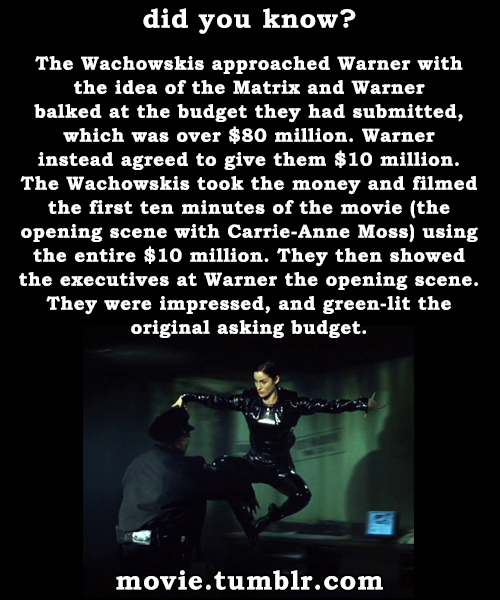 movie:  The Matrix (1999) facts | More movie facts 