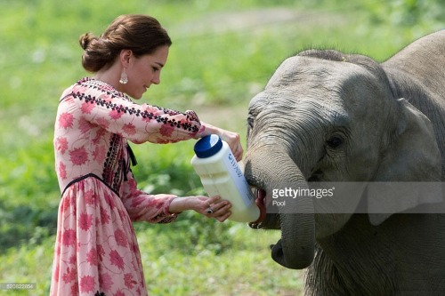  The Duke and Duchess of Cambridge continue their week-long tour of India and Bhutan taking in Mumba