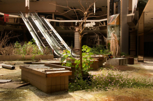 nevver:  The mall of america, Seph Lawless