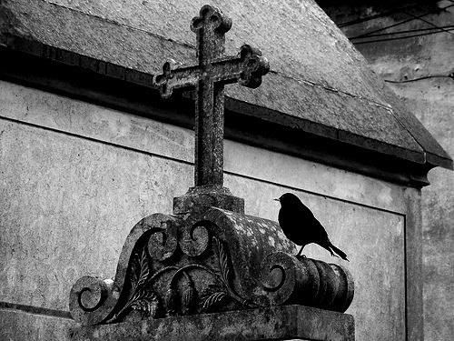 lacrimis:Cementerio de Los Placeres, Lisbon, Portugal