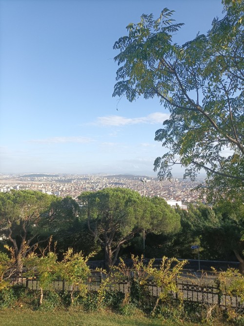 Ben Abalayan Insan Ok Seviyorum. Hatasn Gren, Kabul Eden, Gnl Alan Krgn Uyutmayan Insanlardan Razym.