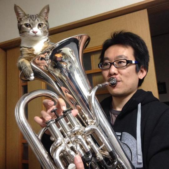 catsbeaversandducks:  Cat mute for euphonium. Video/caption/photo by Kazuhiro Tsukimura 