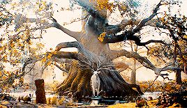 orlandobloom:   Then the bliss of the Valar was increased; for the lights of the