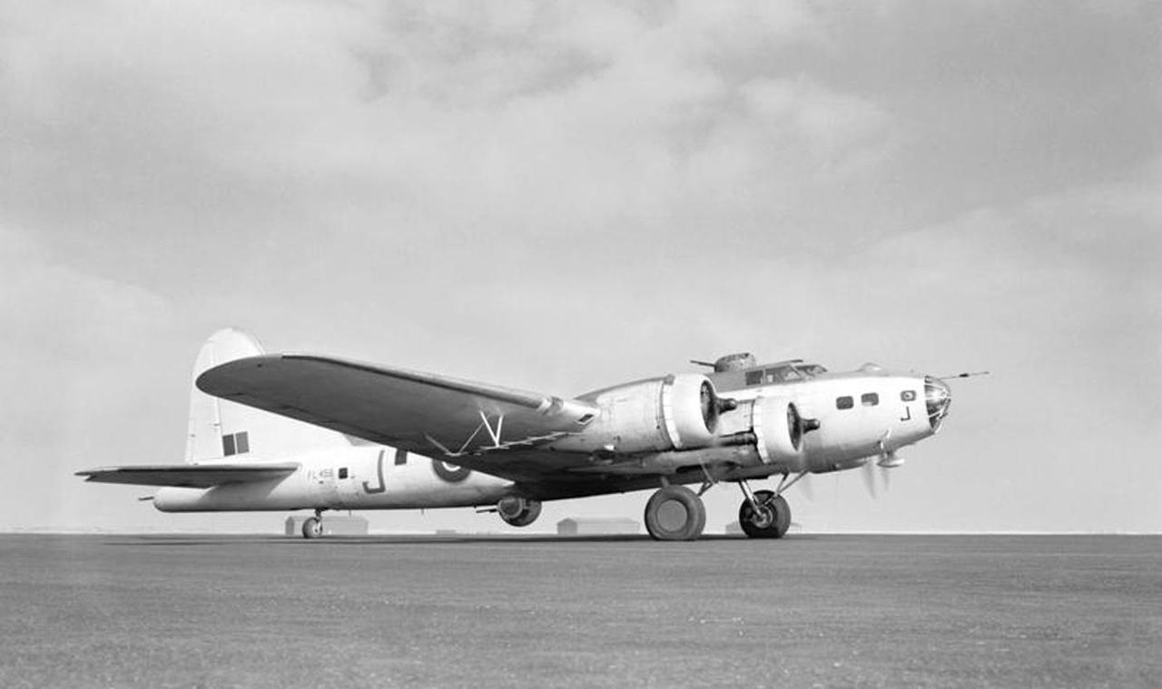 Warbirds Photo