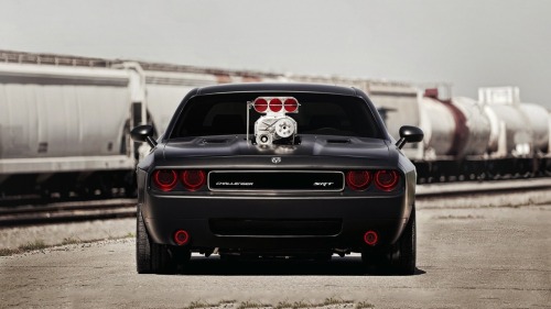 musclecarsfans:  Follow For Muscle Cars Everyday