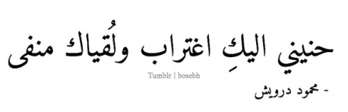 bosebh: حنيني اليكِ اغتراب ولُقياكِ منفى .