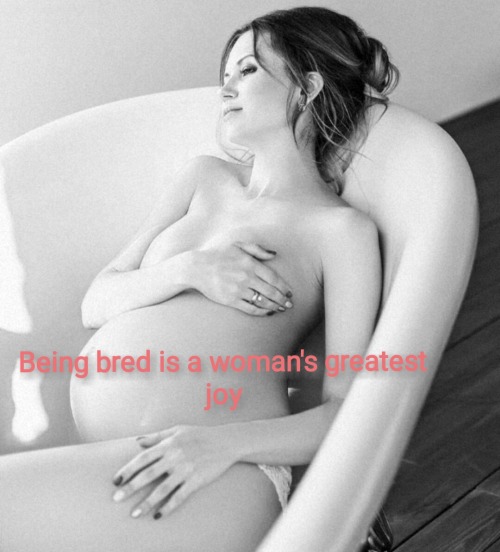 beautysrest - Traditional Values & Roles With A Modern Vision