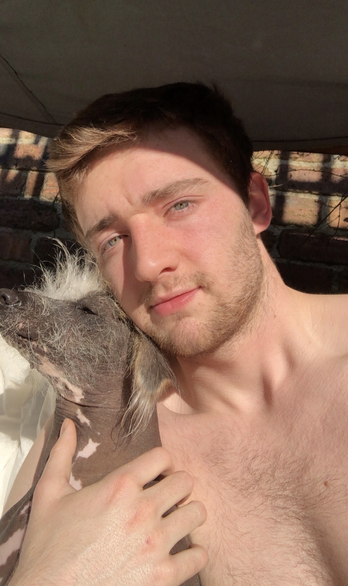 thearcanaofbeingclandestine:My dog really be taking my limelight huh