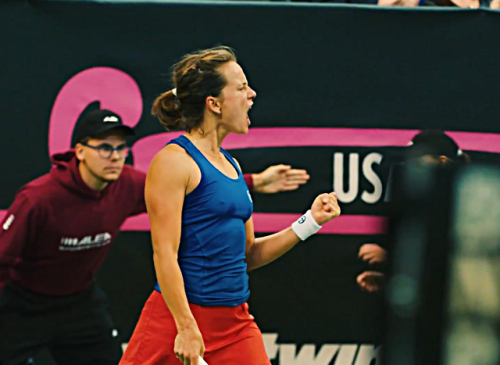 Czech Rep. takes 2-0 lead against United States in Fed Cup finalTeam Usa and Czech will fight in Fed