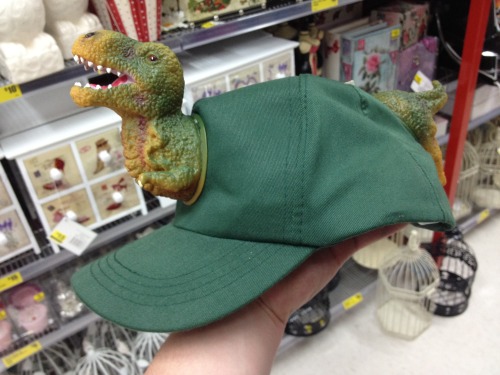 waitthisisntevenmybutt:Any other hat is now obsolete because this majestic hat exists.Fuck all you f