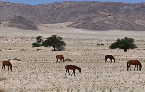 Namibia 2023/24 - Tag 12