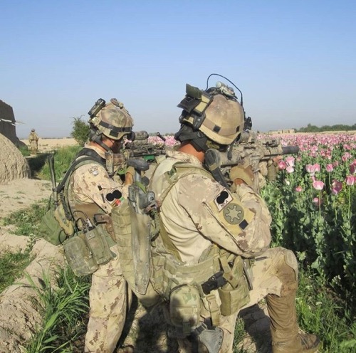 CSOR operators in Afghanistan in 2011 photos originally posted by @medicated_mohican, who was a form