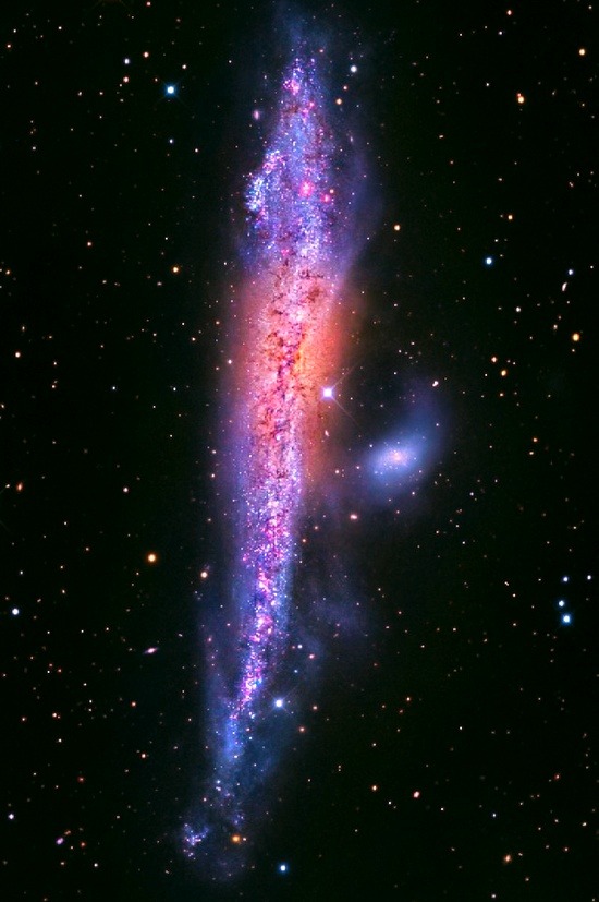 infinitely-awake:  NGC 4631 (the Whale Galaxy or Caldwell 32) is a spiral galaxy,