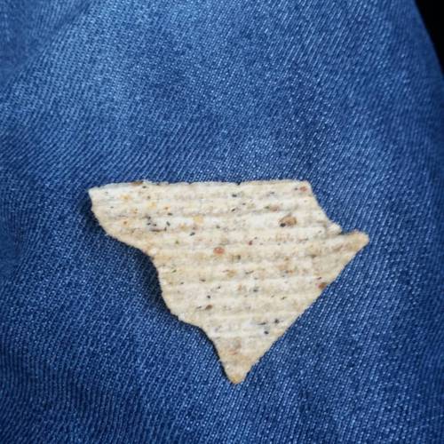 A potato chip that looks like South Carolina.