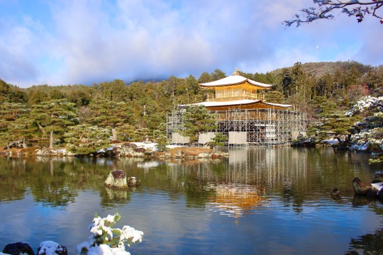 chitaka45:雪の朝　籠の中の世界遺産　❄️金閣寺❄️Kinkakuji temple with snow 