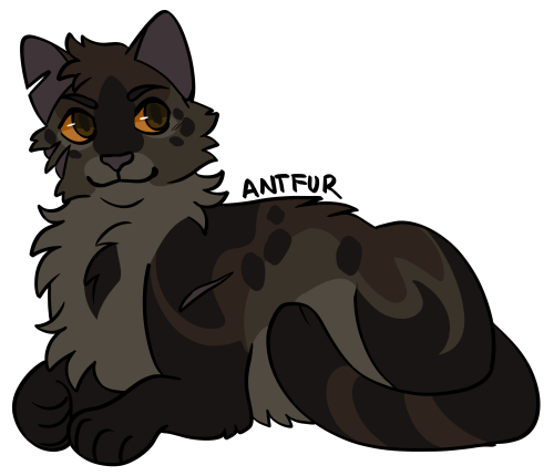 Incel!Ashfur - Warrior Cats by AriesAlpineSavi -- Fur Affinity [dot] net