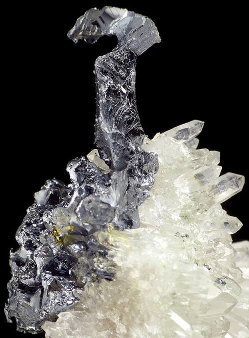 AcanthiteWhile it may surprise you to know that the main ore of silver is the lead sulphide Galena (