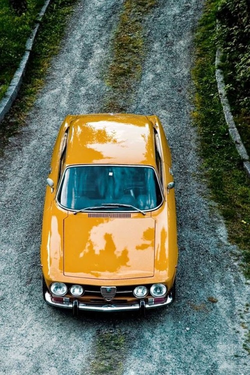 utwo:Alfa Romeo 1750 GTV© ruoterugginose Great color