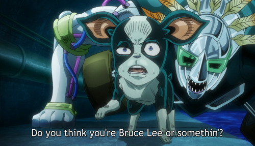 shine-on-you-crazy-duwang: what the hell kind of dog knows and references bruce lee