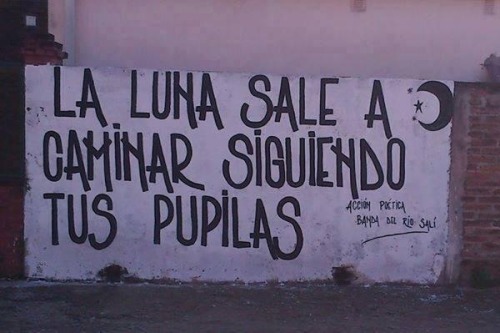 accion–poetica:  La luna sale a caminar siguiendo tus pupilas