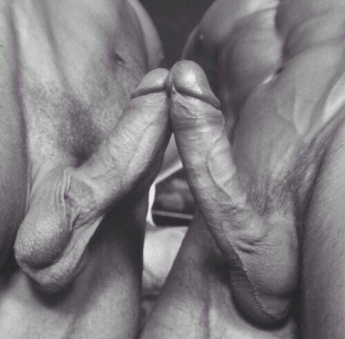 dirtymikefl:nicely paired