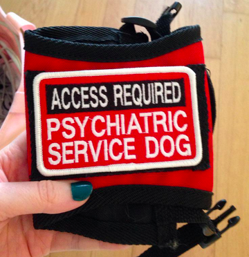 Things Not to Do to People with Service Dogs, Please, I’m Begging You