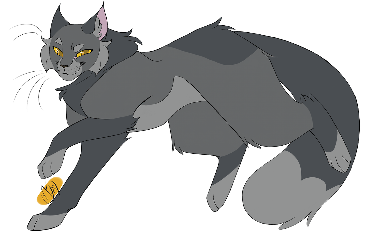 warrior cats designs — 100+ Warrior Cats Challenge! Day 81