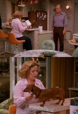 petlove83:  Lol love this show! 