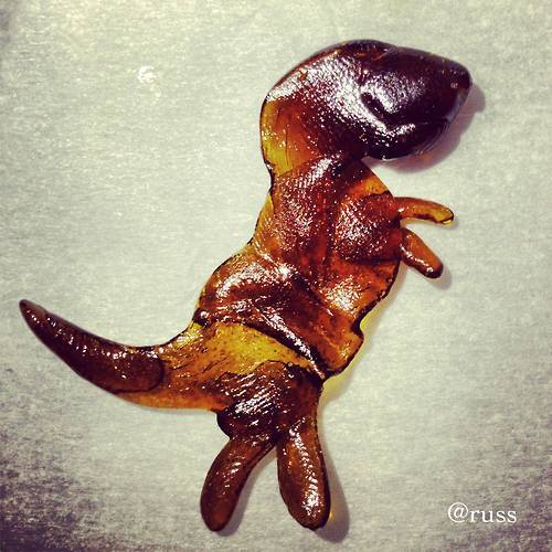 XXX bhozone:  I dub thee: Dabasaurus Wrekt.  photo