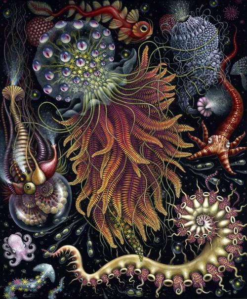 This is my newest painting, ‘HYDROZOA’  This painting will be part of a large solo show dedicated to