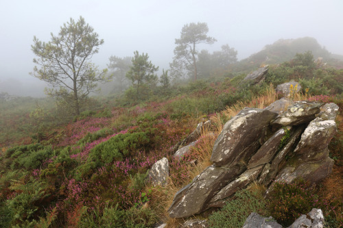 Mist on the heights - Brume sur les hauteurs by Nadine Le Goff