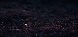 russandolly:OF THE HOUSELESS SPIRITS OF MIDDLE EARTH“(..)The fea (soul) is single, and in the last i
