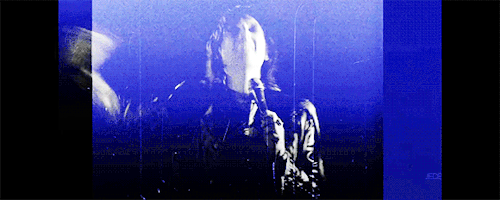 baedelman:THE STRUTS;In love with a camera + COLOR ART