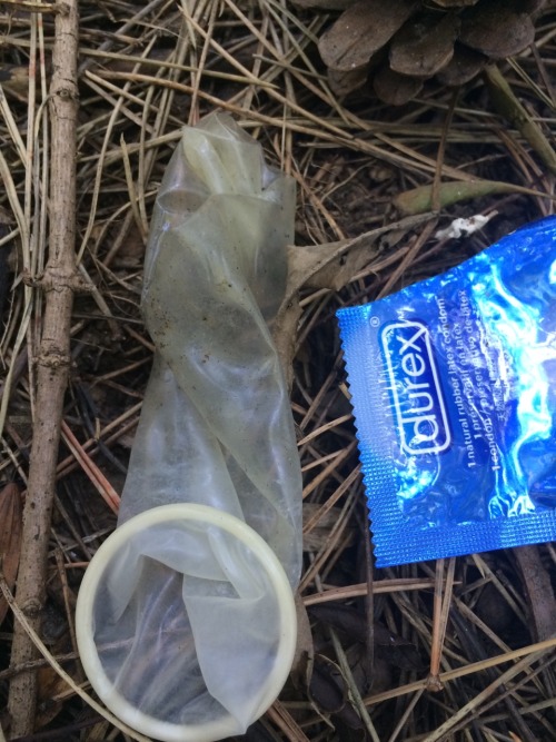 A cute little Durex Sitting in a pine tree