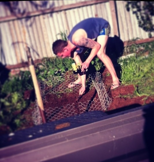 338. tradies2000:  Gardening 