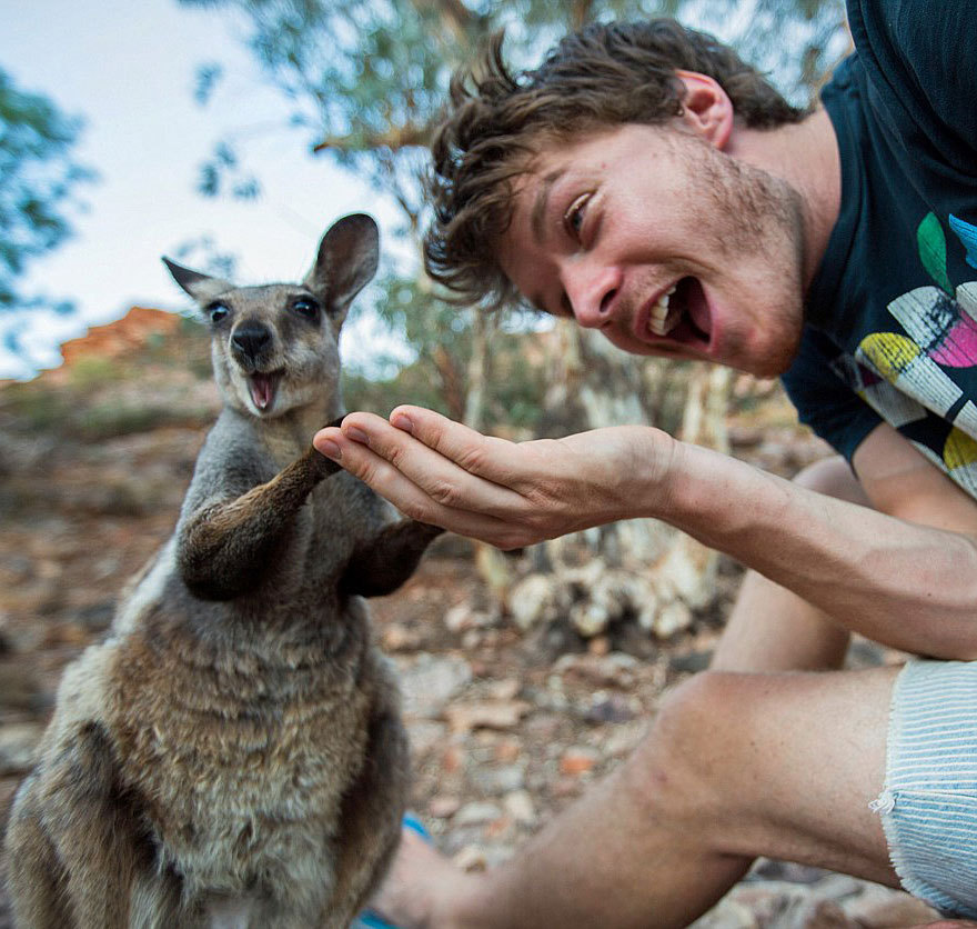 wtf-fun-factss:   Allan Dixon and the art of animal selfie - WTF fun facts 
