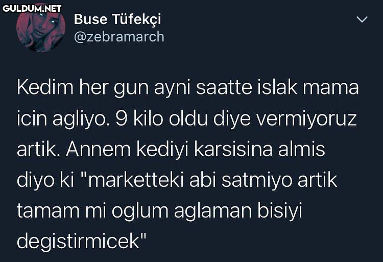 Buse Tüfekçi @zebramarch...