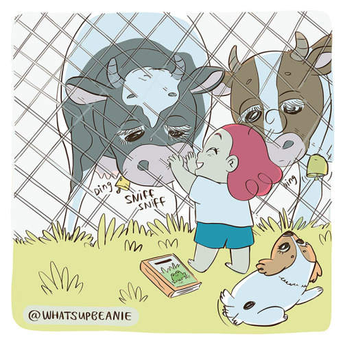 whatsupbeanie:Our neighbours had cows and every now and again I would run up to the fence to visit t