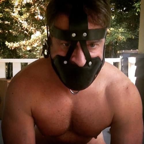 mr-s-leather:  Head Harness Muzzle  Woof hansome man