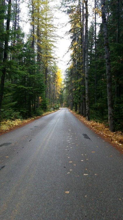 hufflepuffrave:we went up to glacier this weekend and it was cold and cloudy and beautiful