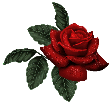 bleed-thru:  corny rose gifs. I wonder if people actually think these are romantic?