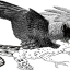 ptulamxha